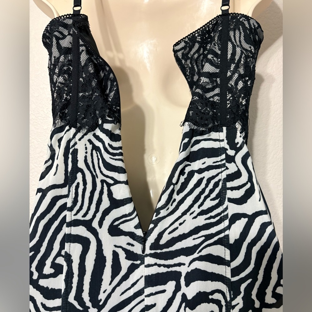 Mesh Body con Semi Sheer Black White Zebra Print Dress w Bustier Type Lace Top - Picture 8 of 13